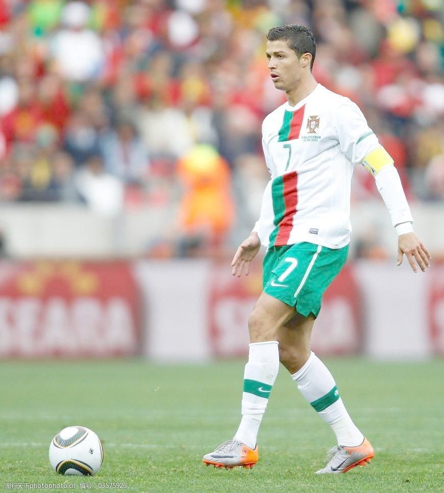 我们从中可 我们从中可