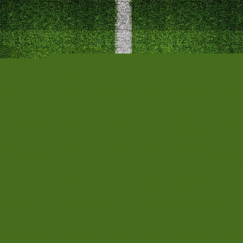 自身不足之 自身不足之