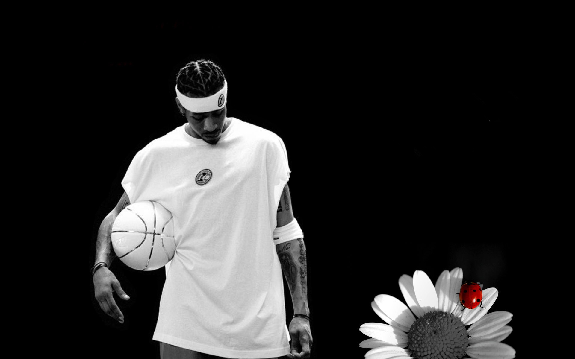 让传统的t 让传统的t